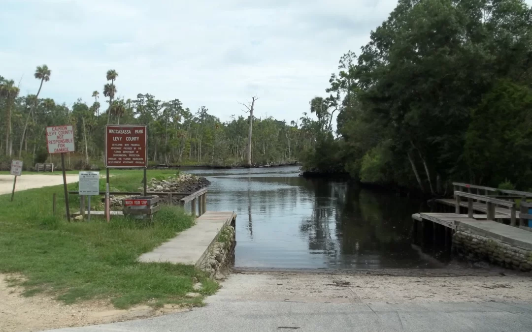 Affordable Spray Foam Insulation Services in Levy County, FL