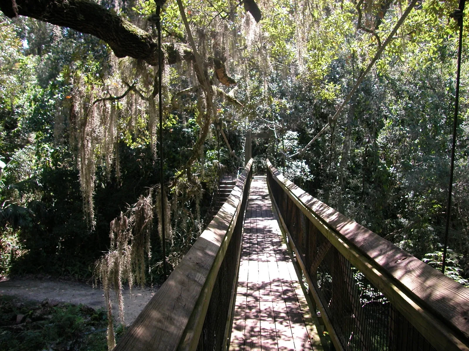 Ravine Gardens Park