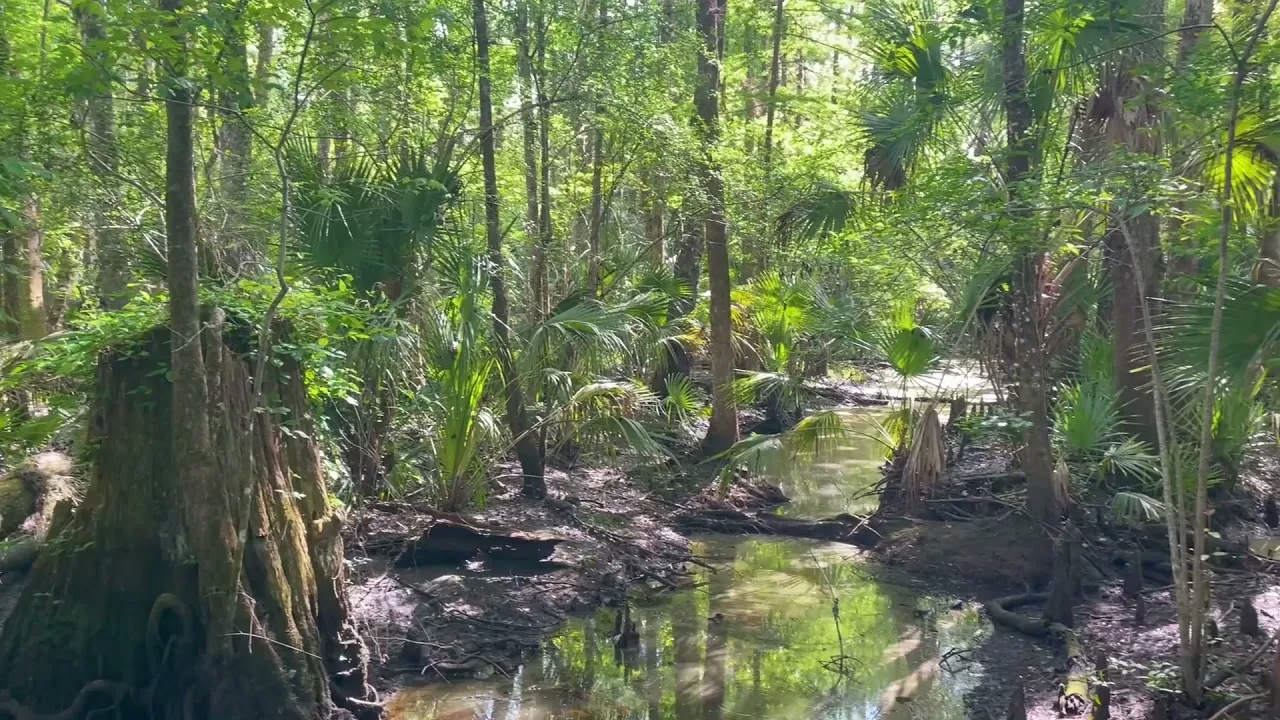 Rice Creek Conservation Area