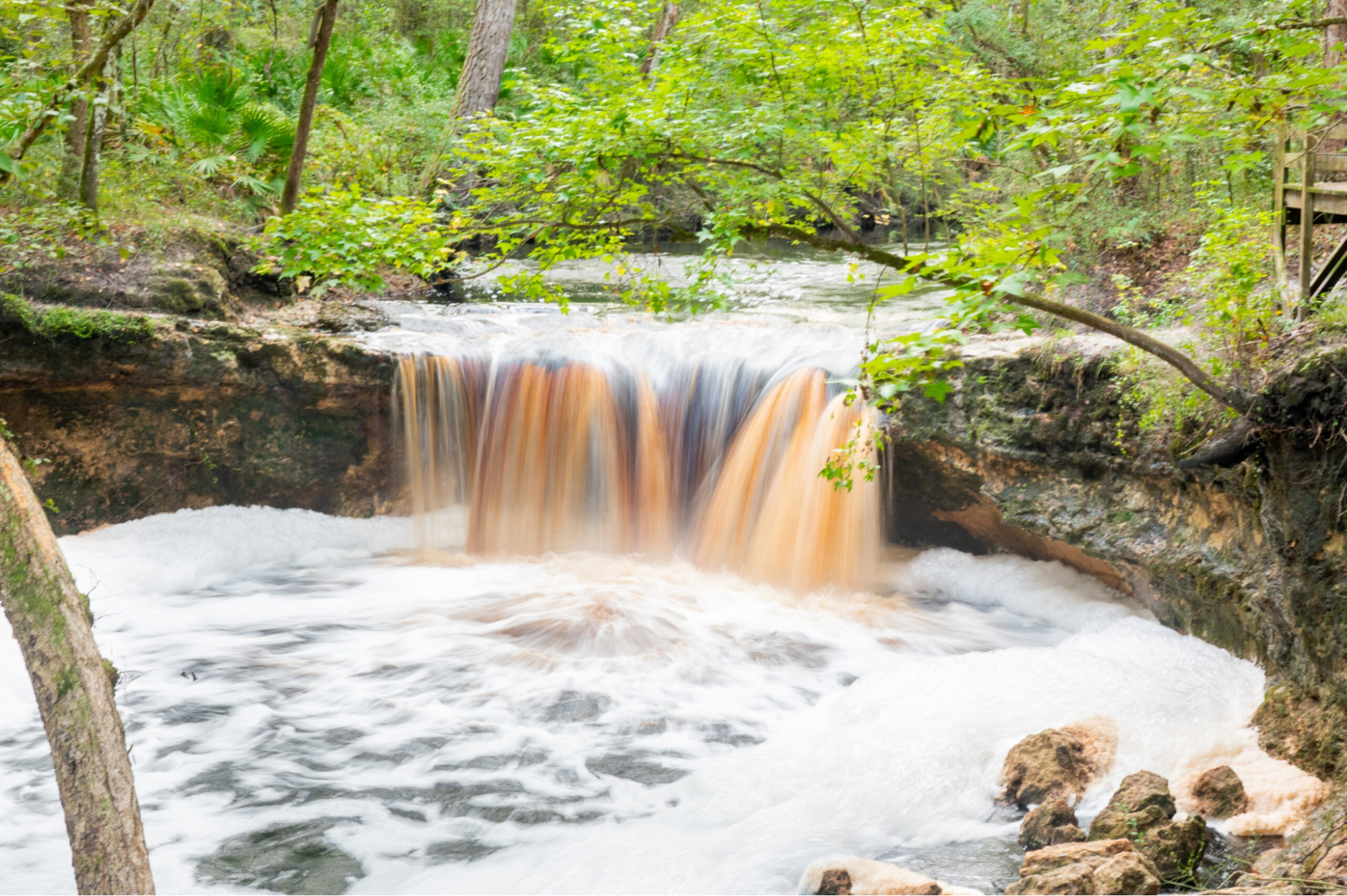 Rice Creek Conservation Area