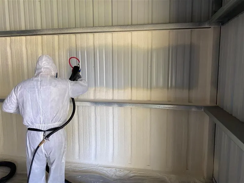 usp Spray Foam Crawl Space Insulation